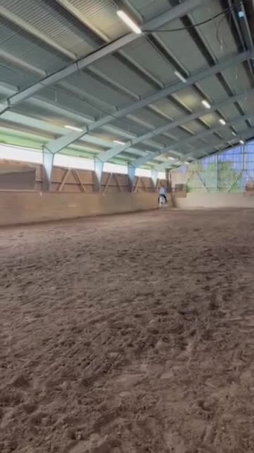 Allround hästar till salu: Perfekt förstaponny! - Video 2