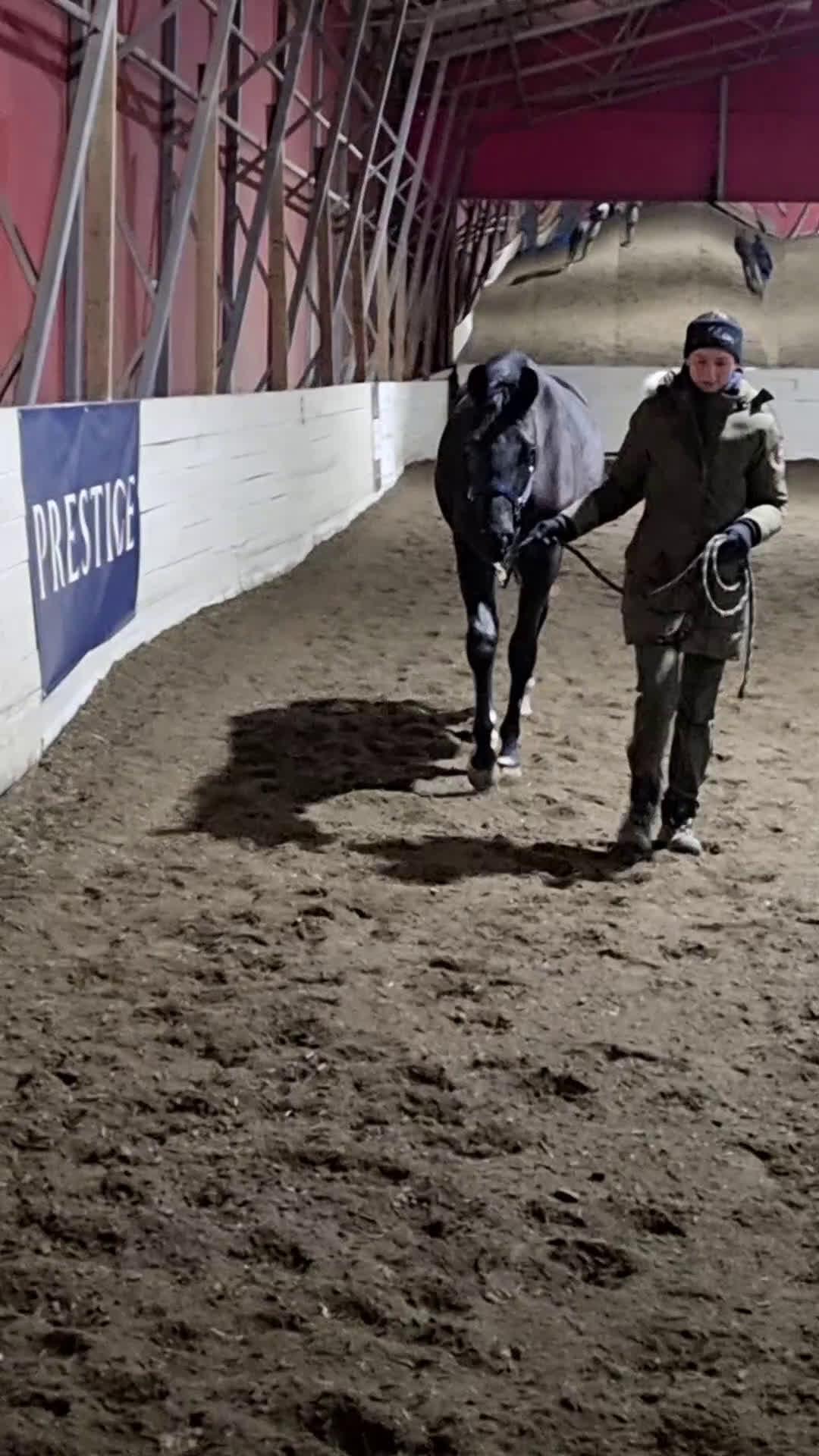 Dressyr hästar till salu: Sort hoppe etter Kjento/Fürstenball - Video 3