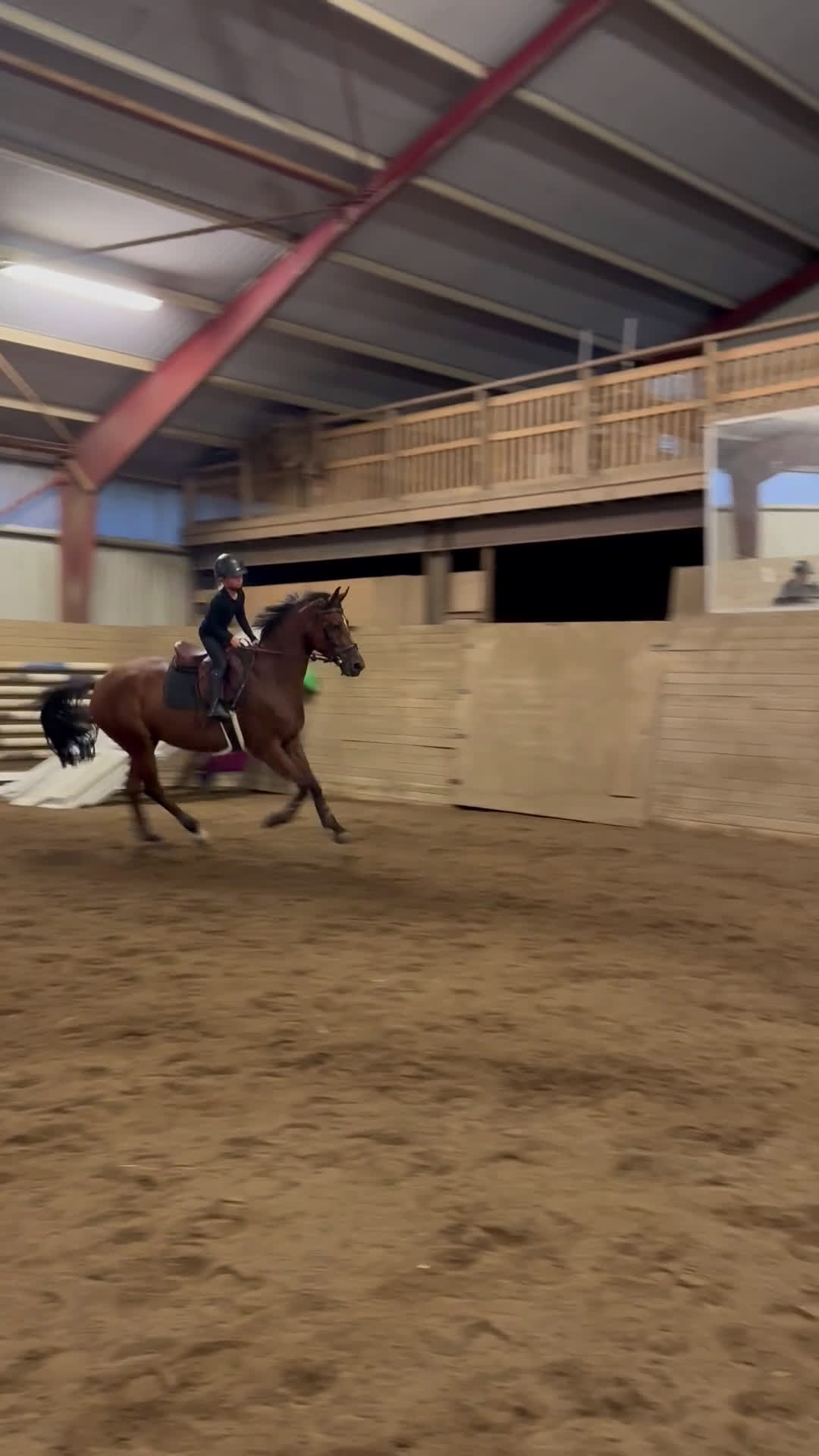 Hoppning hästar till salu: Energifylld valack för ryttare som vill mer 🌟 - Video 3