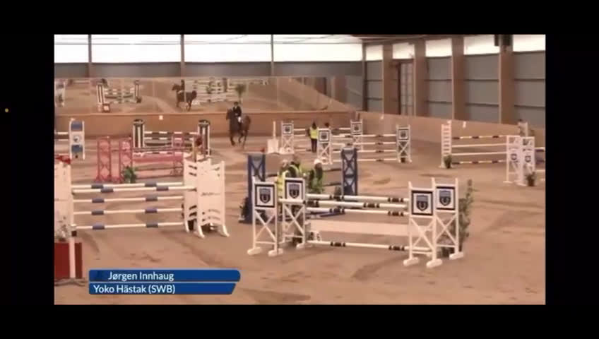 Hoppning hästar till salu: Mycket fin hopphäst även lämplig J-YR häst i Älmeboda - Video 1