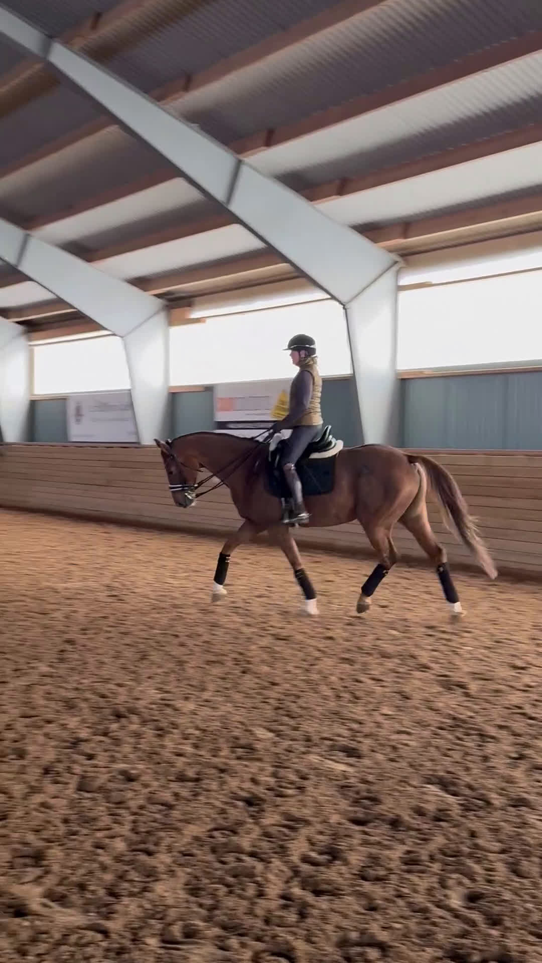 Dressyr hästar till salu: Underbart sto i Rimforsa - Video 1