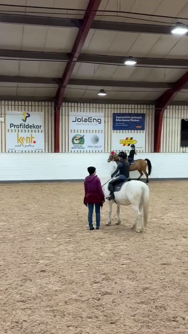 Allround hästar sökes: ⚠️MEDRYTTARHÄST/FÖDERHÄST SÖKES I SUNDSVALL⚠️ i Sundsvall - Video 4