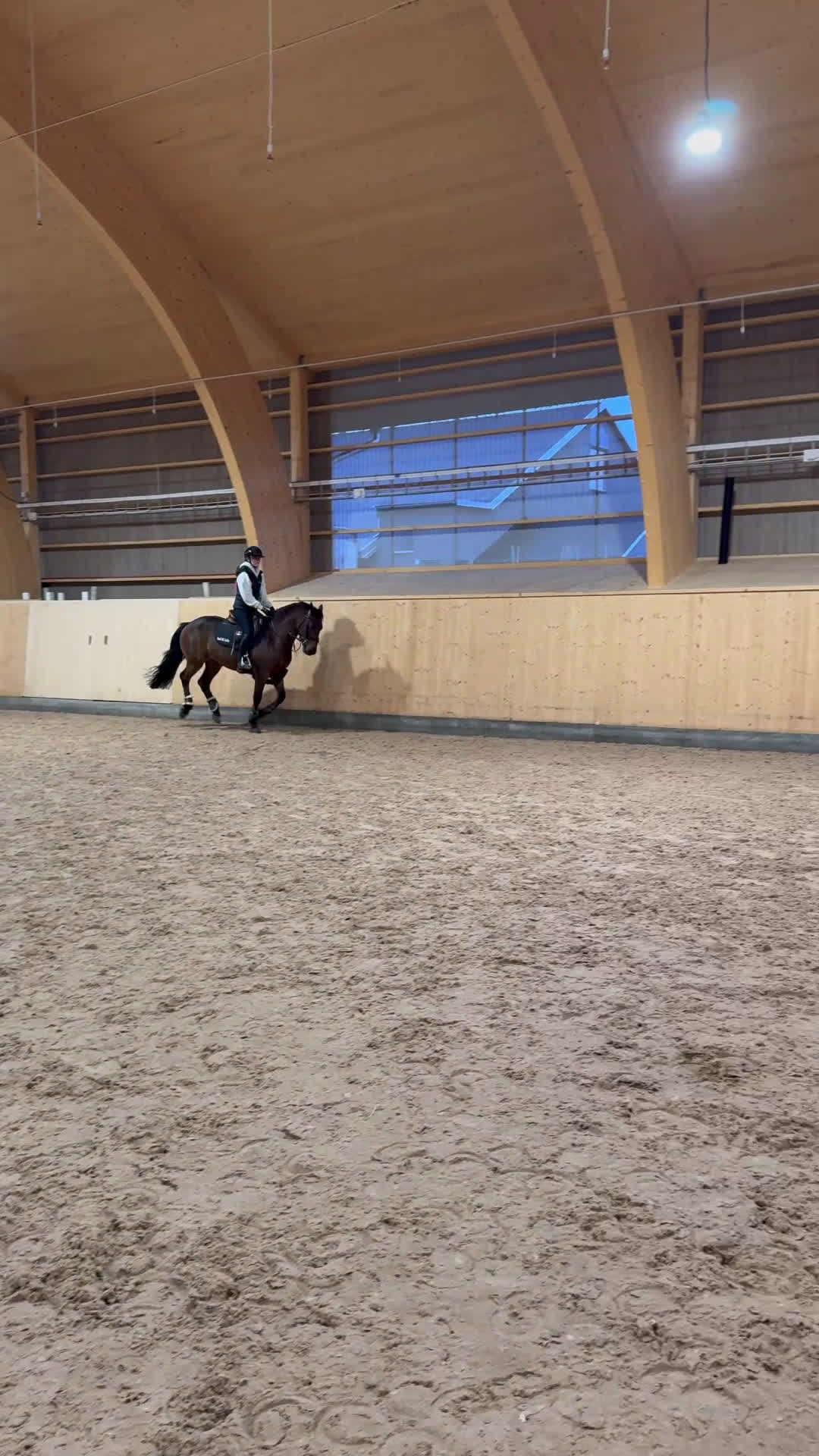 Hoppning hästar till salu: Fantastisk ponny i Borlänge - Video 1