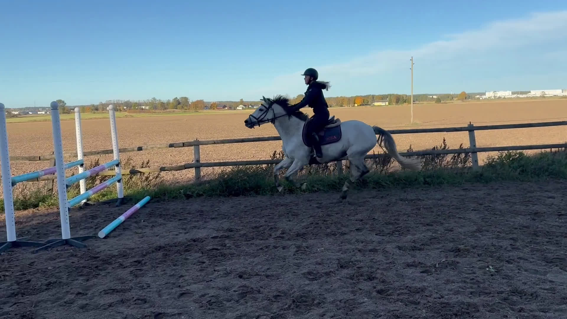 Hoppning hästar till salu: Kapabel D-ponny, kan ses på Grevagården v42! i Trollhättan - Video 1