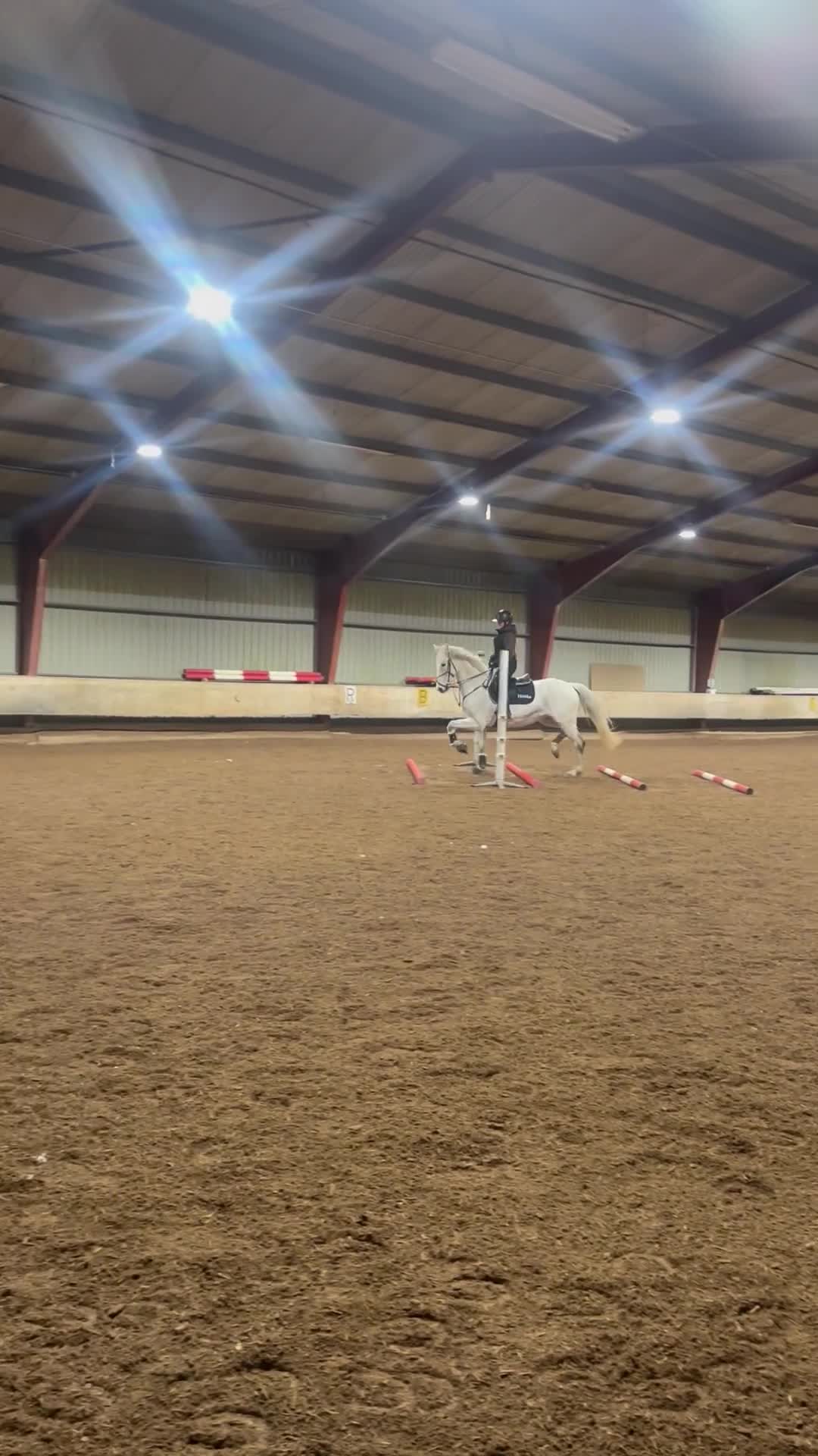 Allround hästar till salu: Intressekoll på fint swb sto! 🌟 - Video 4