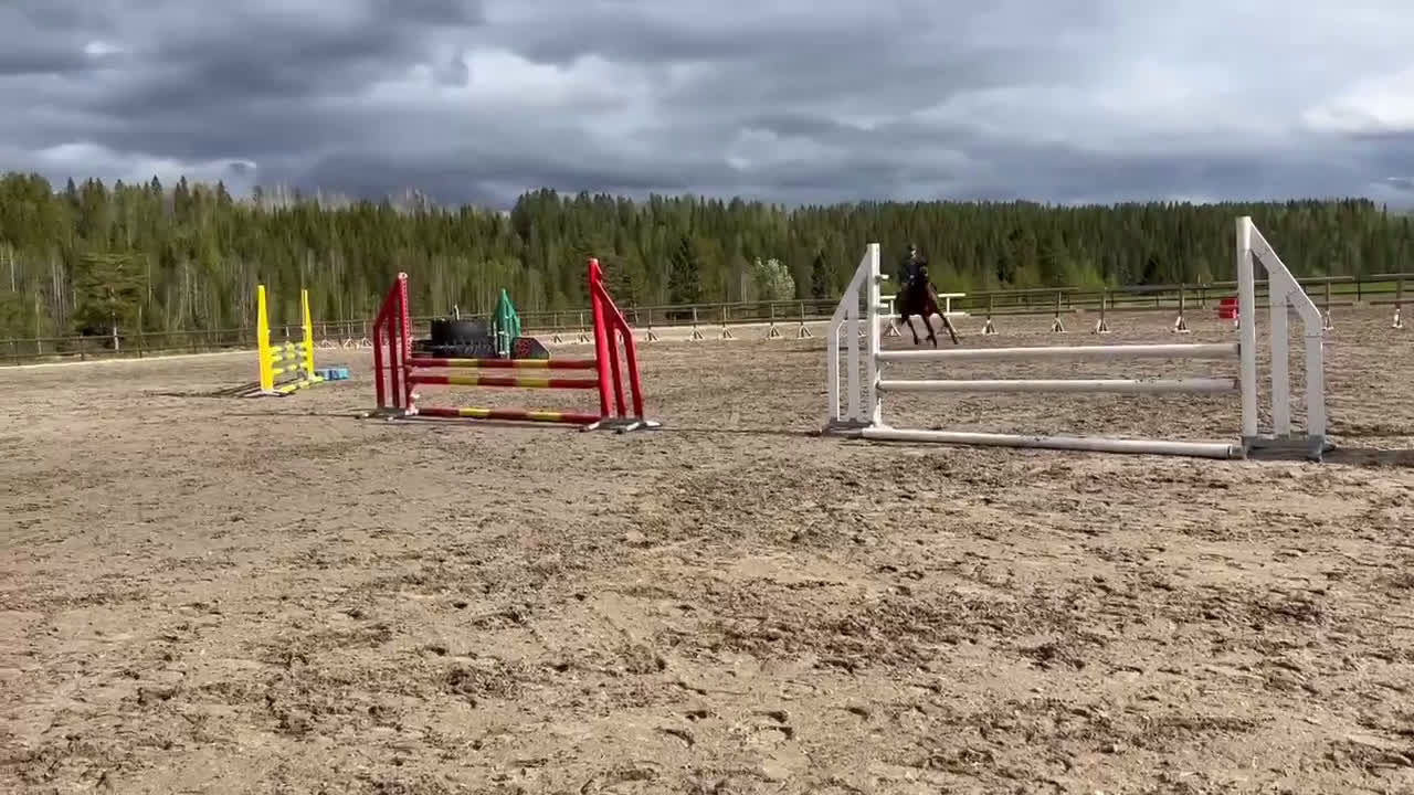 Allround hästar till salu: Söt ponny med personlighet och attityd i Vindeln - Video 3