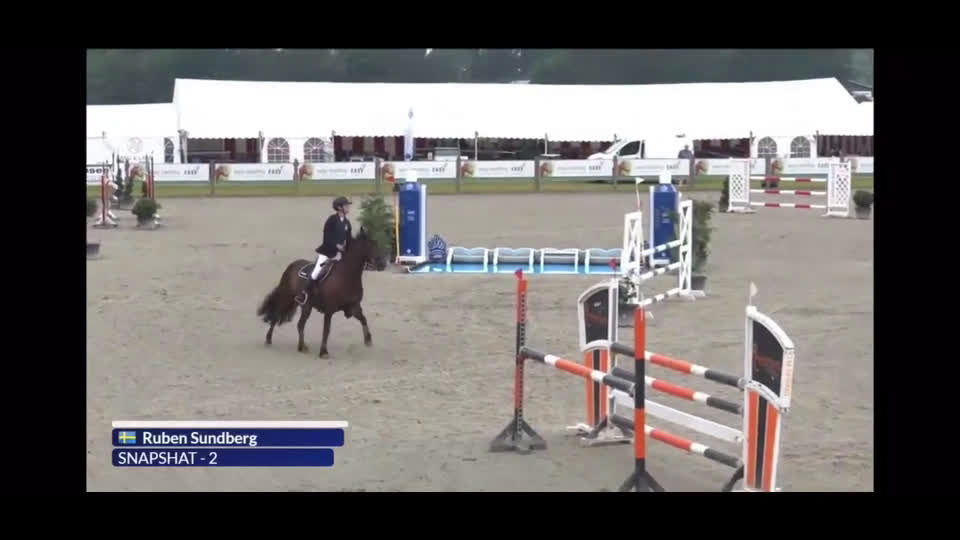 Hoppning hästar till salu: Fantastiska Snapchat i Norrtälje - Video 2