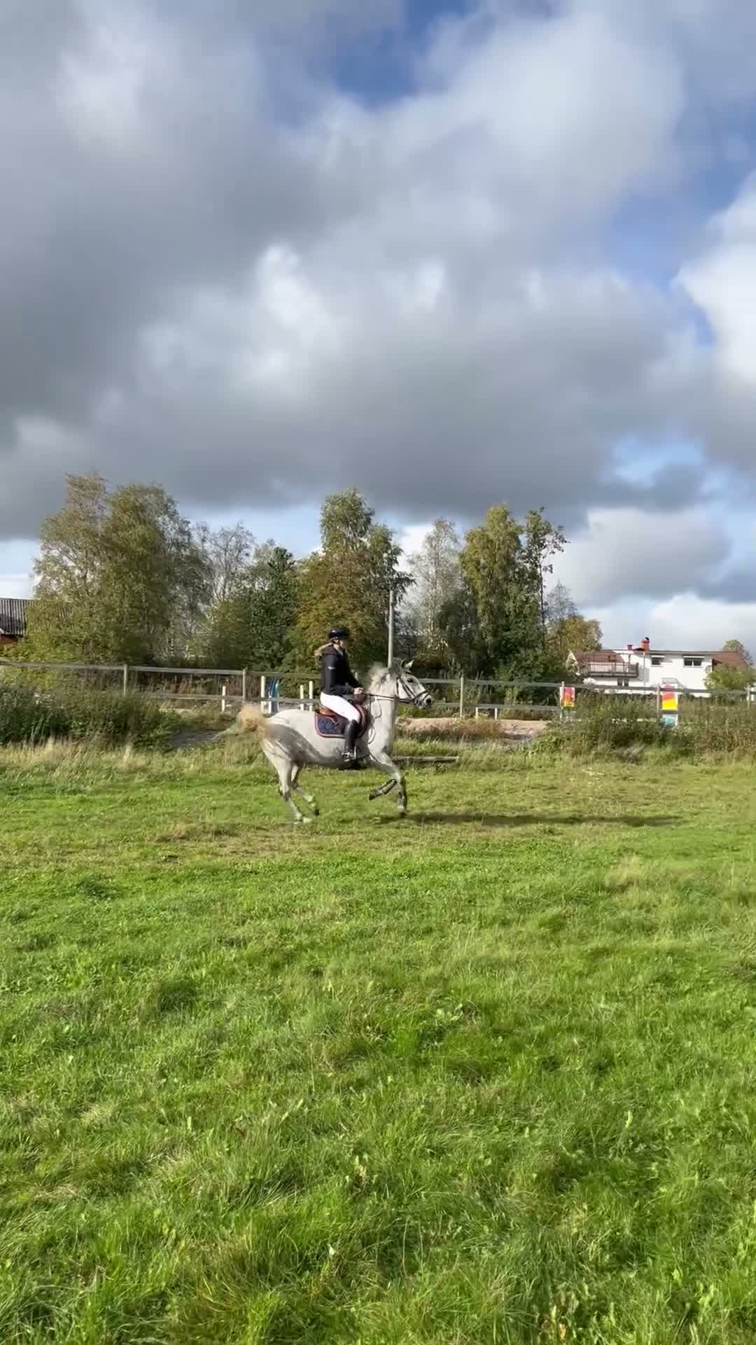Hoppning hästar till salu: Maxad C-ponny med fantastik inställning  - Video 2