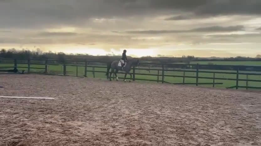 Hoppning hästar till salu: Ljuvligt Sto ⭐️ i Valbo - Video 3