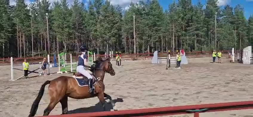 Hoppning hästar till salu: Hopp el fälttävlanshäst  - Video 1