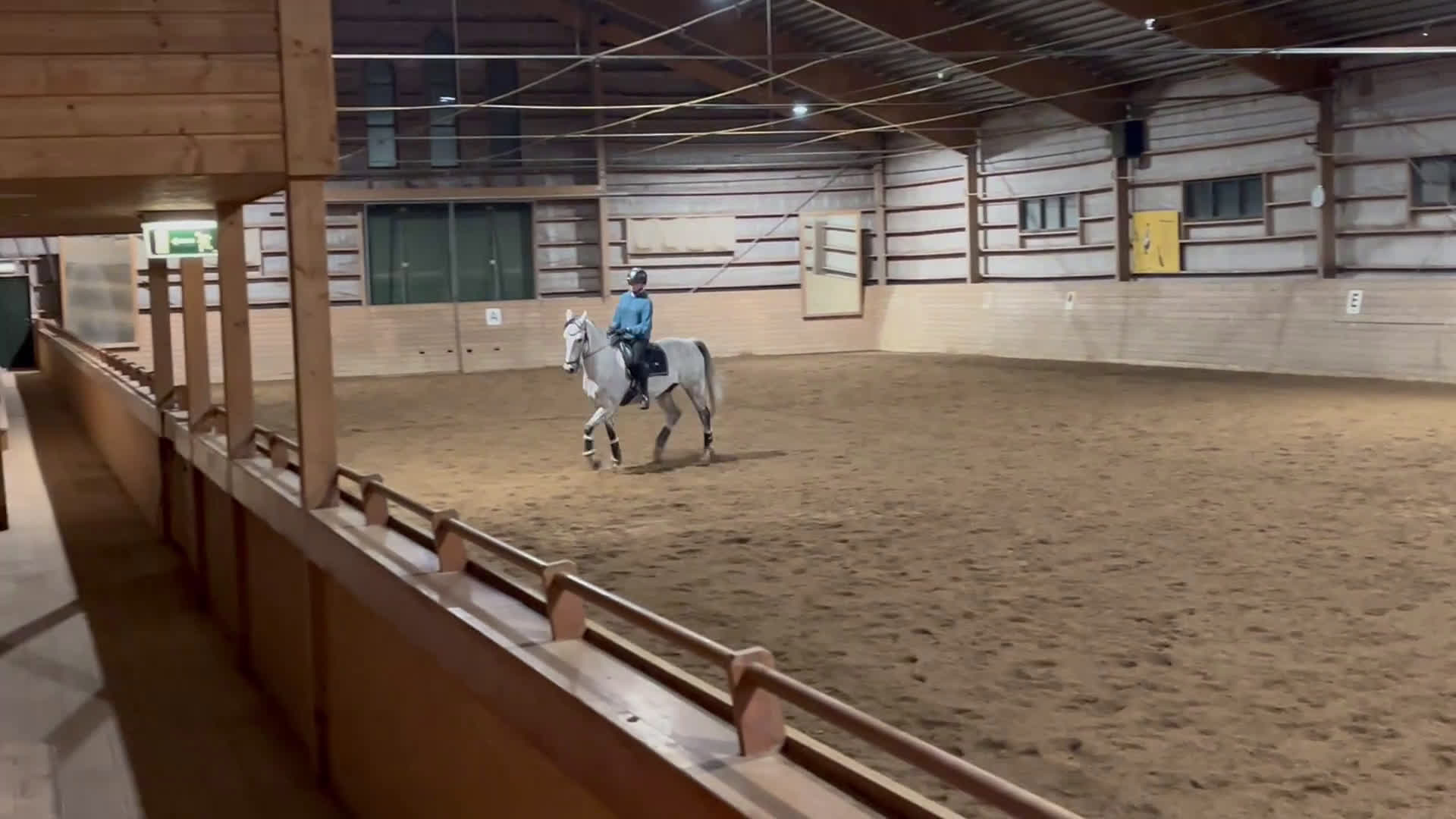 Allround hästar till salu: Bästa vän söker nytt hem 💕 i Malung - Video 2