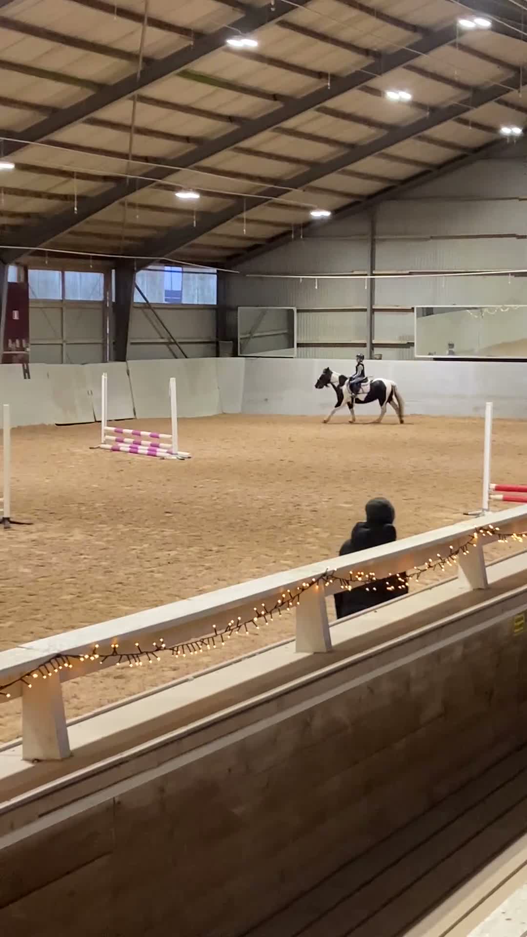 Allround hästar till salu: Vår underbara Lily!  - Video 2