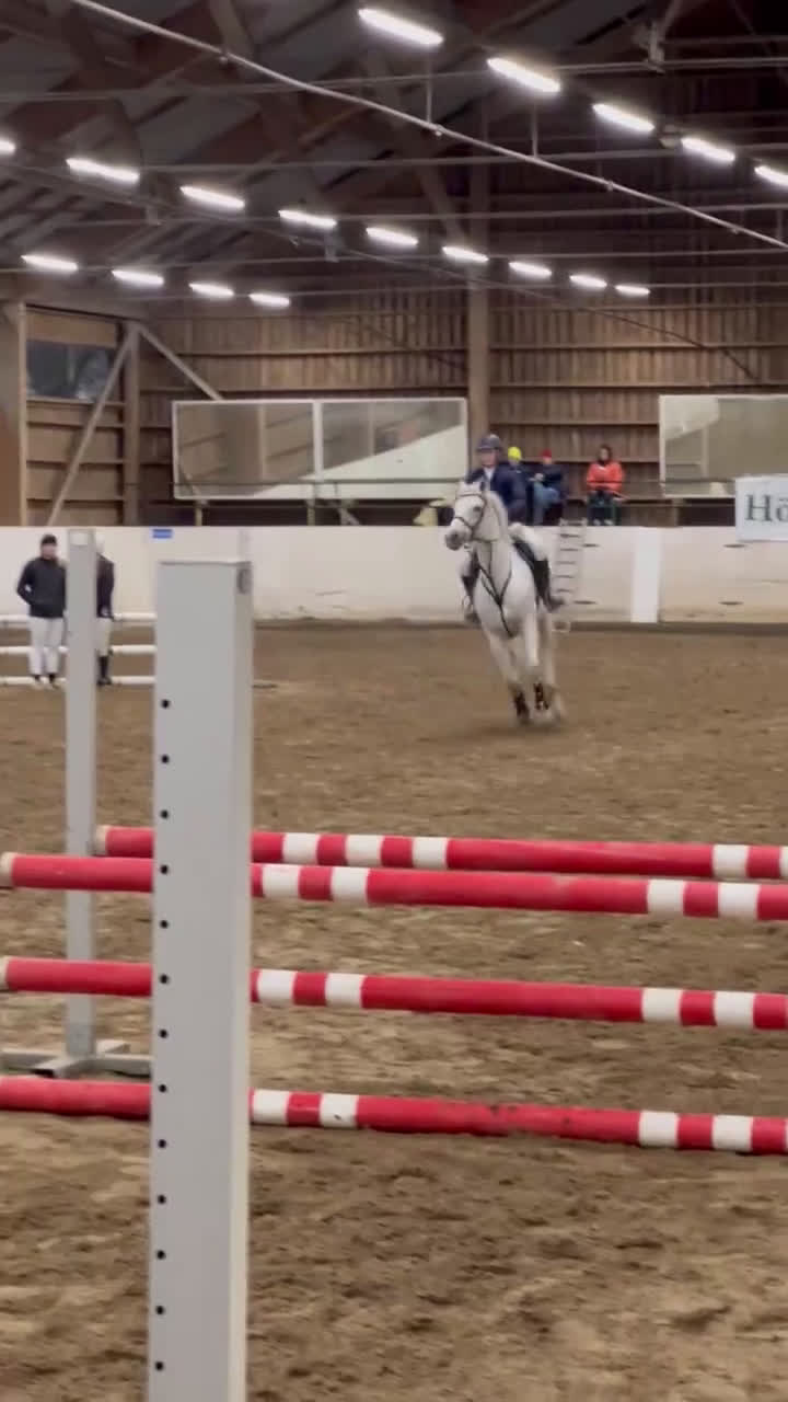 Hoppning hästar sökes: Läromästare sökes - Video 1