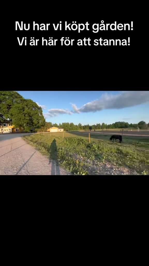 Allround hästar sökes: Söker trygg, stabil, läromästare - Video 2