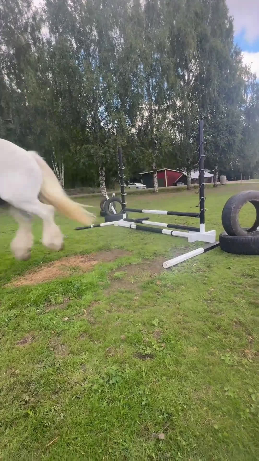 Allround hästar till salu: Drömhäst  i Ljungaverk - Video 4