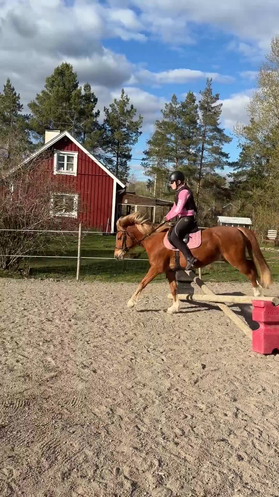 Allround hästar till salu: C ponny valack född 2010 - Video 4