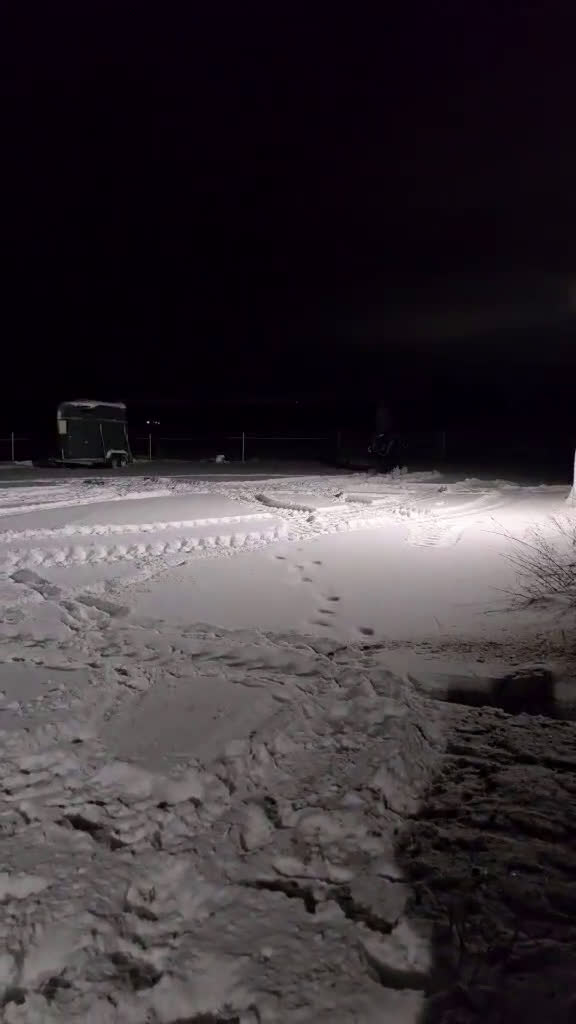 Dressyr hästar till salu: Mkt vackert swb sto  i Kungsör - Video 4