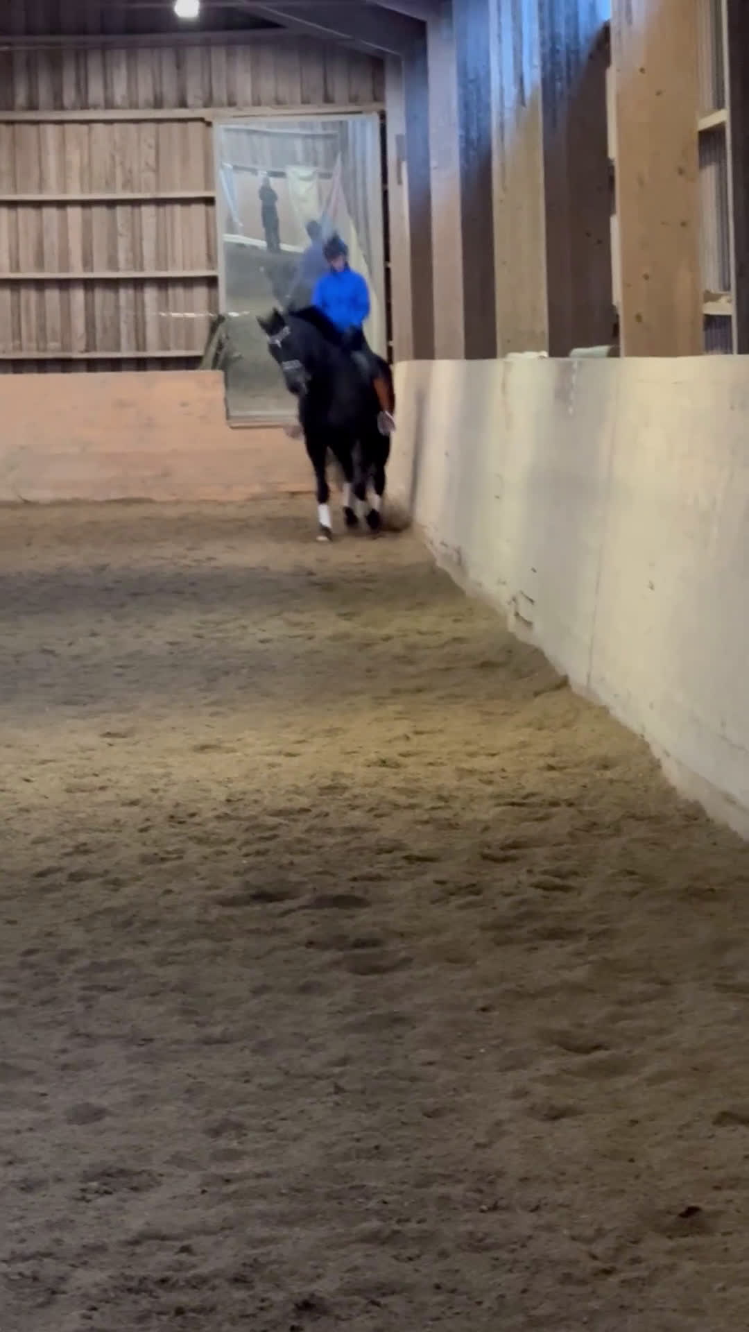 Dressyr hästar till salu: Snäll, Snygg och med stor ridbarhet!  i Åkers Styckebruk - Video 1