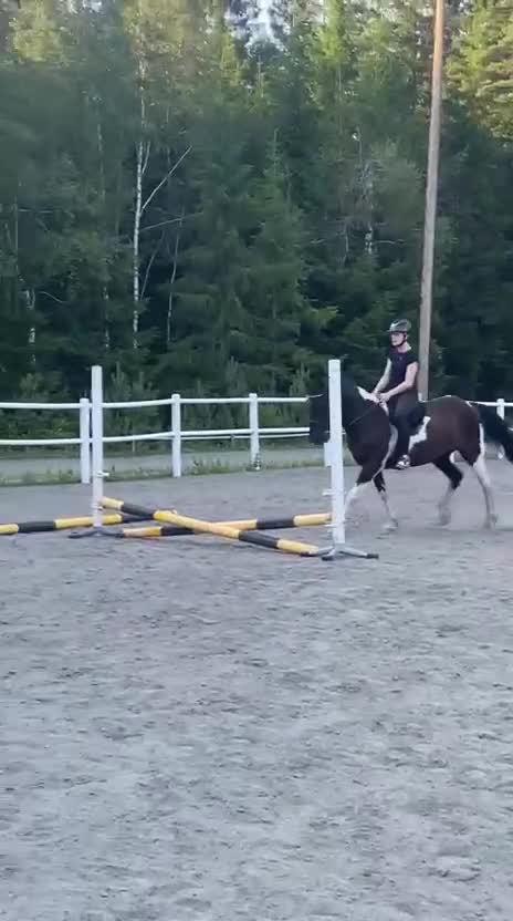 Allround hästar till salu: En bästa vän med fart i  - Video 3