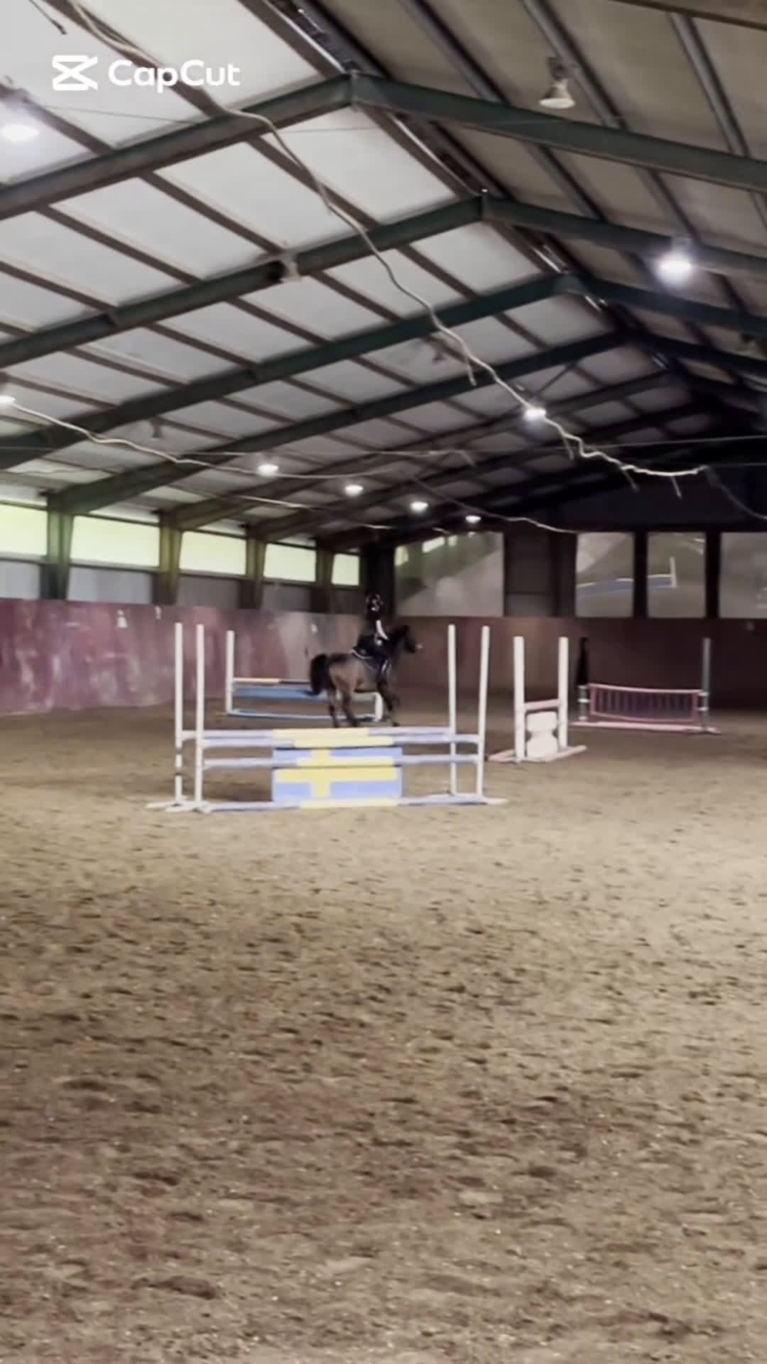 Allround hästar till salu: Läromästare  i Lindome - Video 2