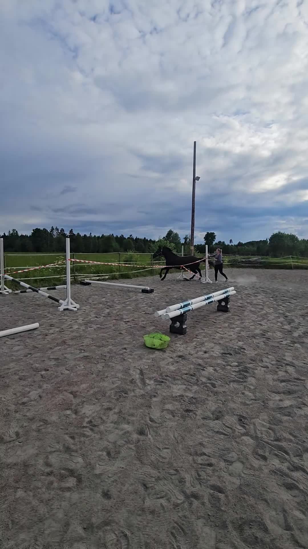Hoppning hästar till salu: Flott sto med toppstam! - Video 2