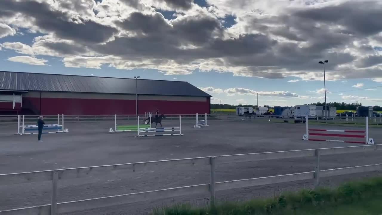 Allround hästar till salu: Hoppglad ponny! - Video 1