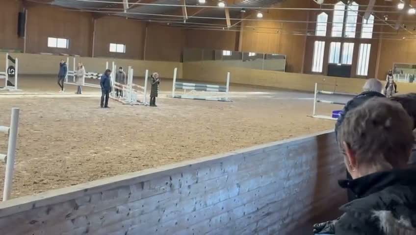 Allround hästar till salu: Fantastisk häst som kan både hoppning o dressyr🤩 - Video 4
