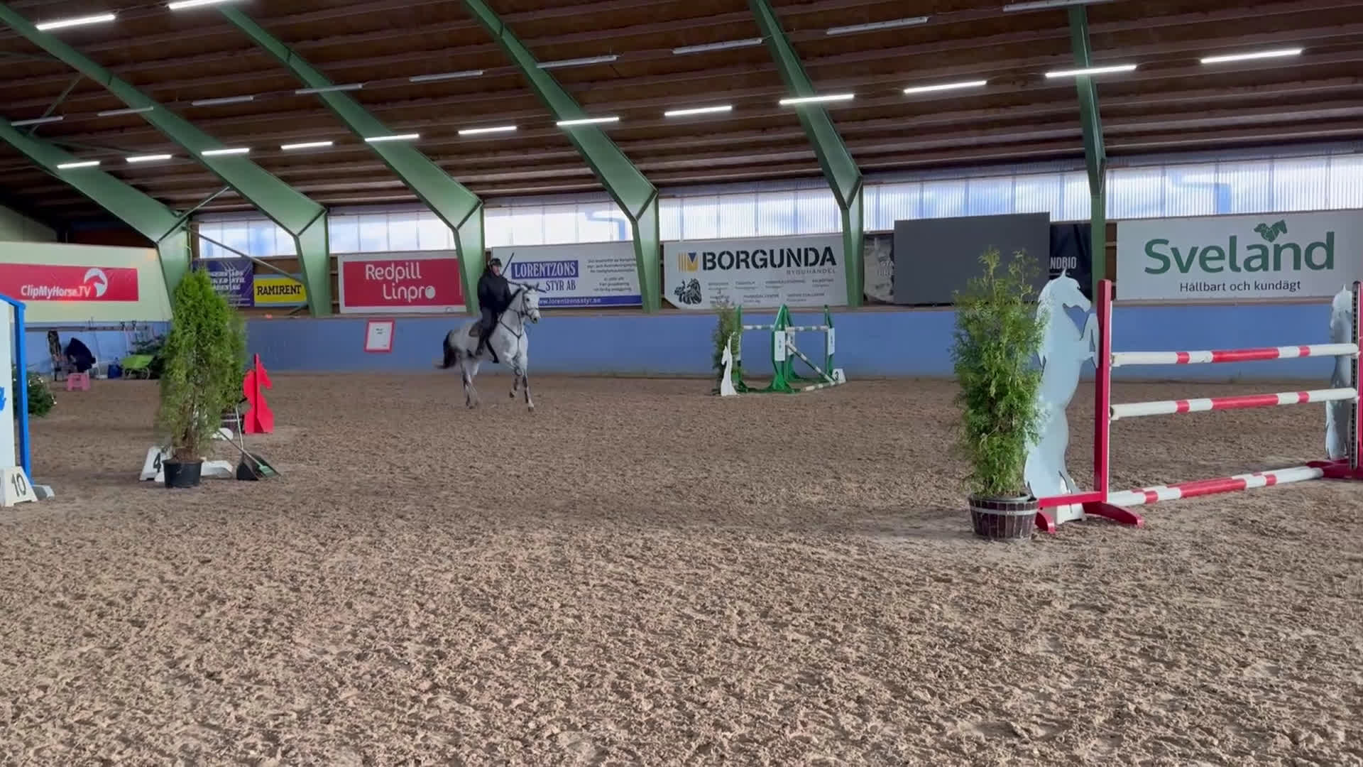 Hoppning hästar till salu: Två superfina hoppston i Sandhem - Video 1