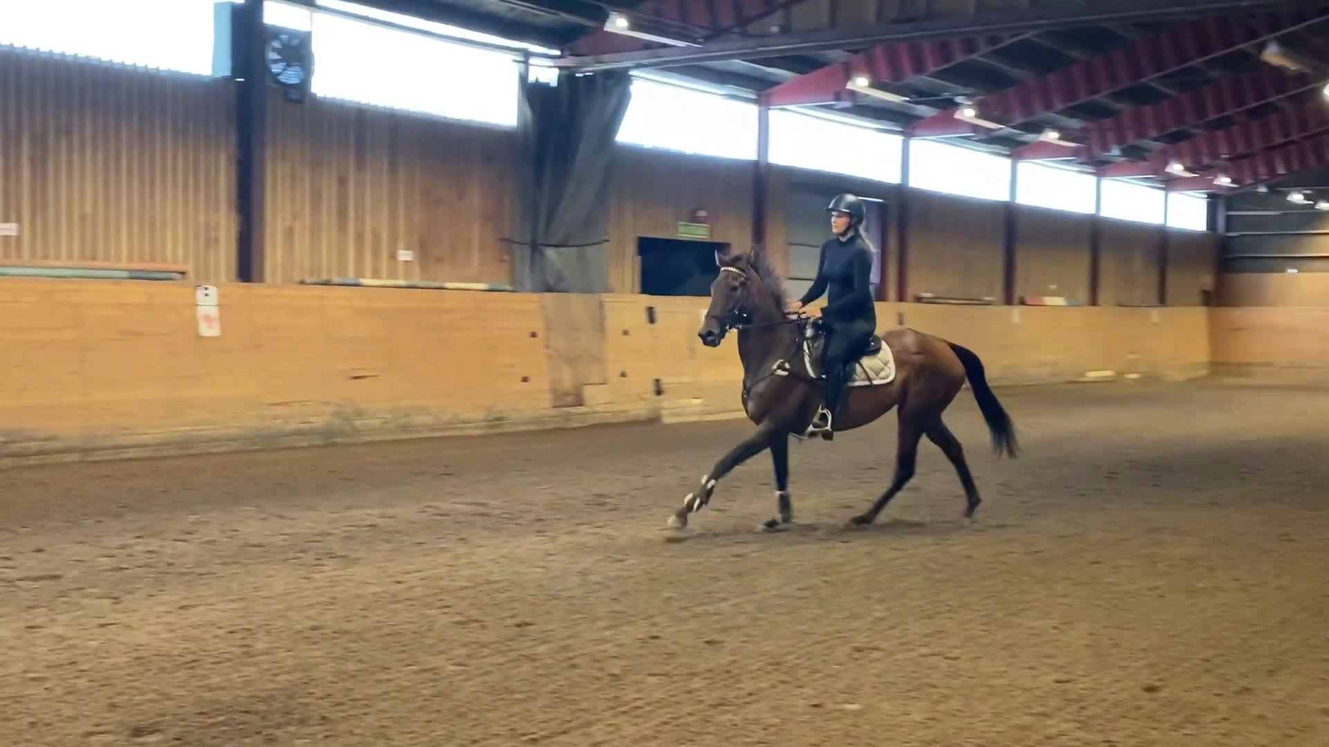 Allround hästar till salu: Vänligt sto som blir vad du gör henne till!  i Trollhättan - Video 4