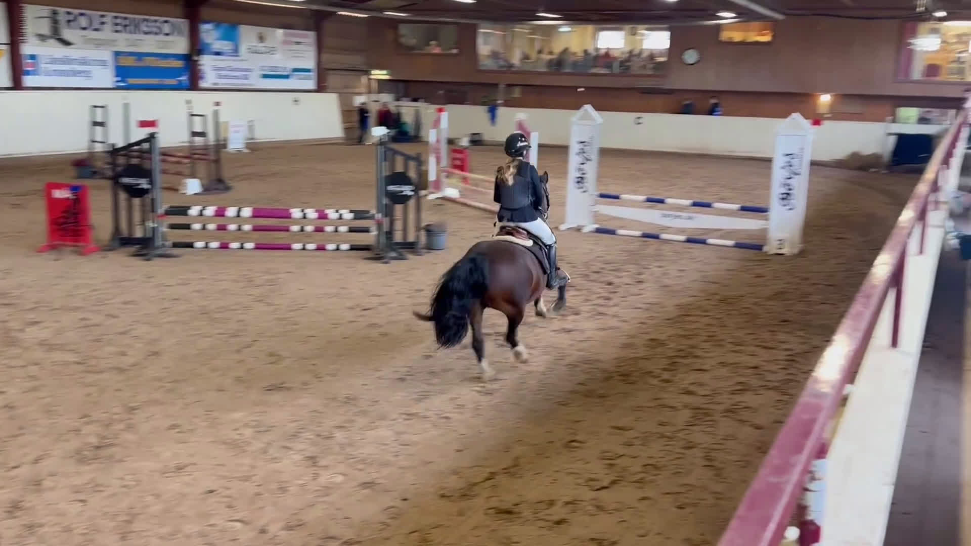 Hoppning hästar till salu: Pigg hopp ponny *Prissänkt* ev byte i Kosta - Video 3