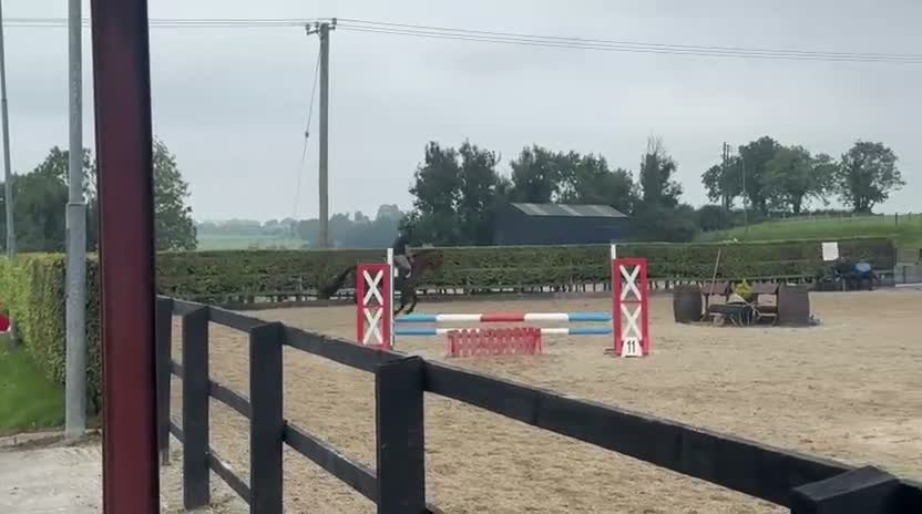 Hoppning hästar till salu: Fantastisk 6åring  - Video 2