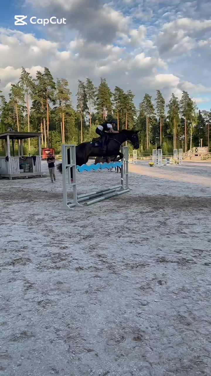 Hoppning hästar till salu: Kvalitéts ponny ✨ - Video 3