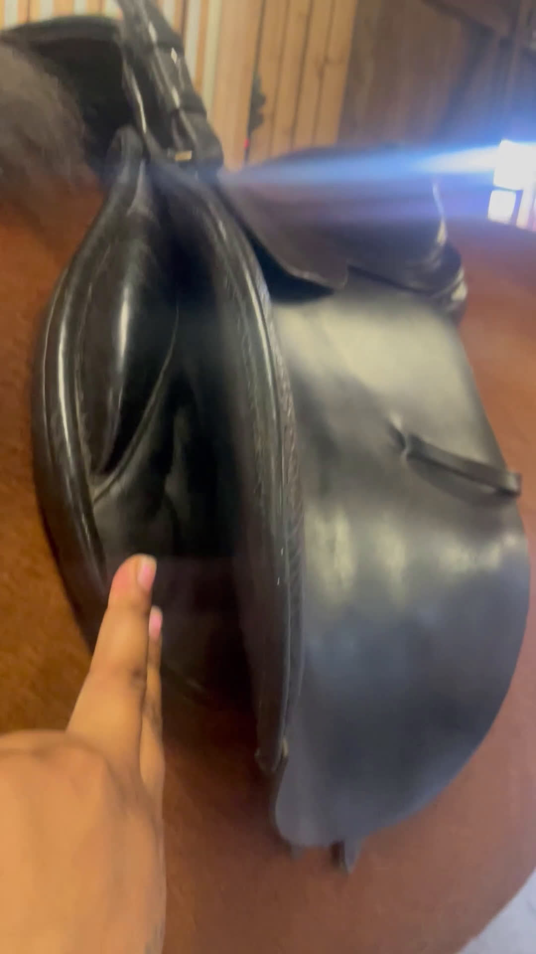 Sadlar hästutrustning till salu: Kvalitetssadel Morris and Noland i Göteborg - Video 1