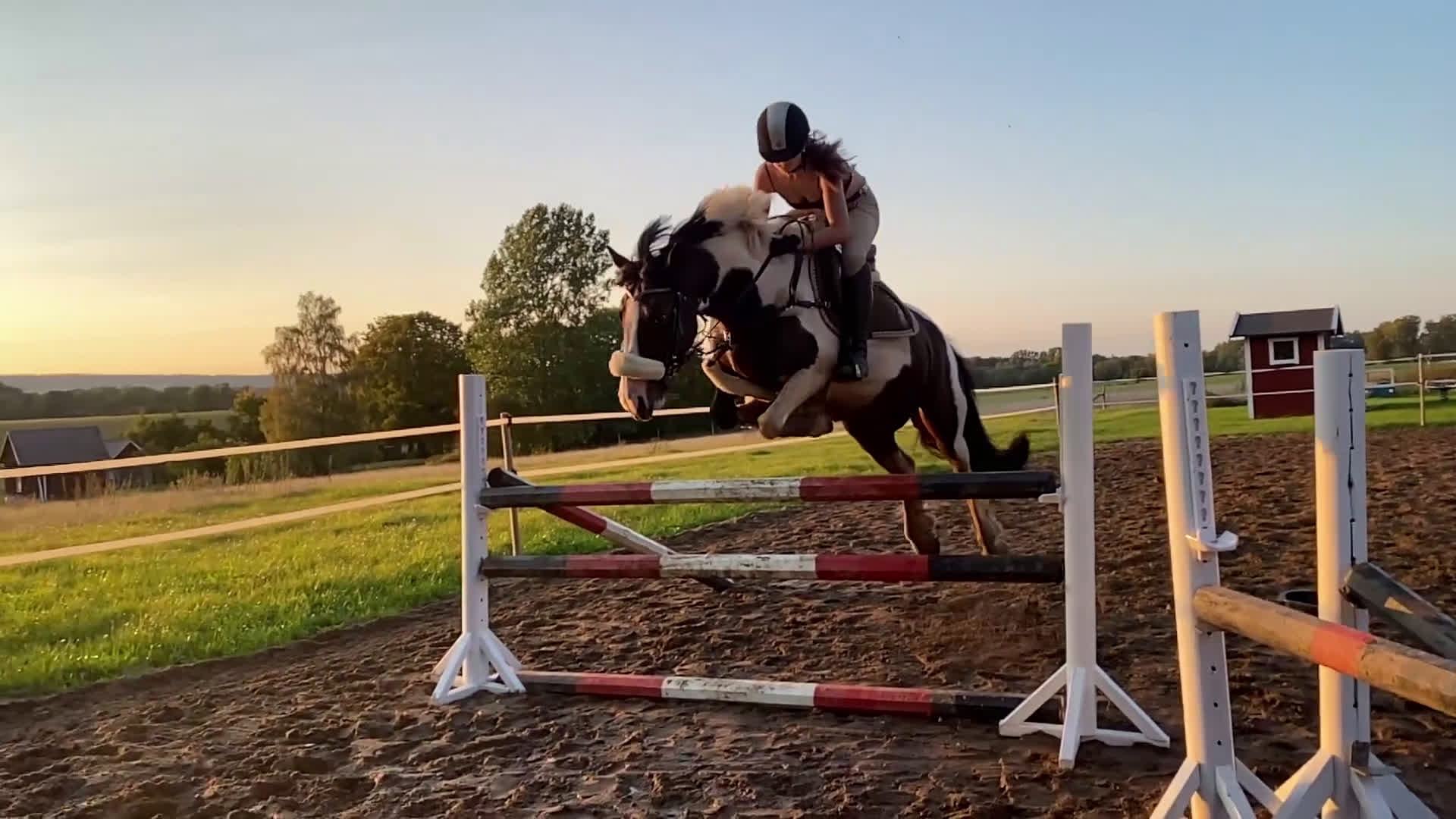 Allround hästar till salu: ❤️Fina Blaze N Fire💥 - Video 1