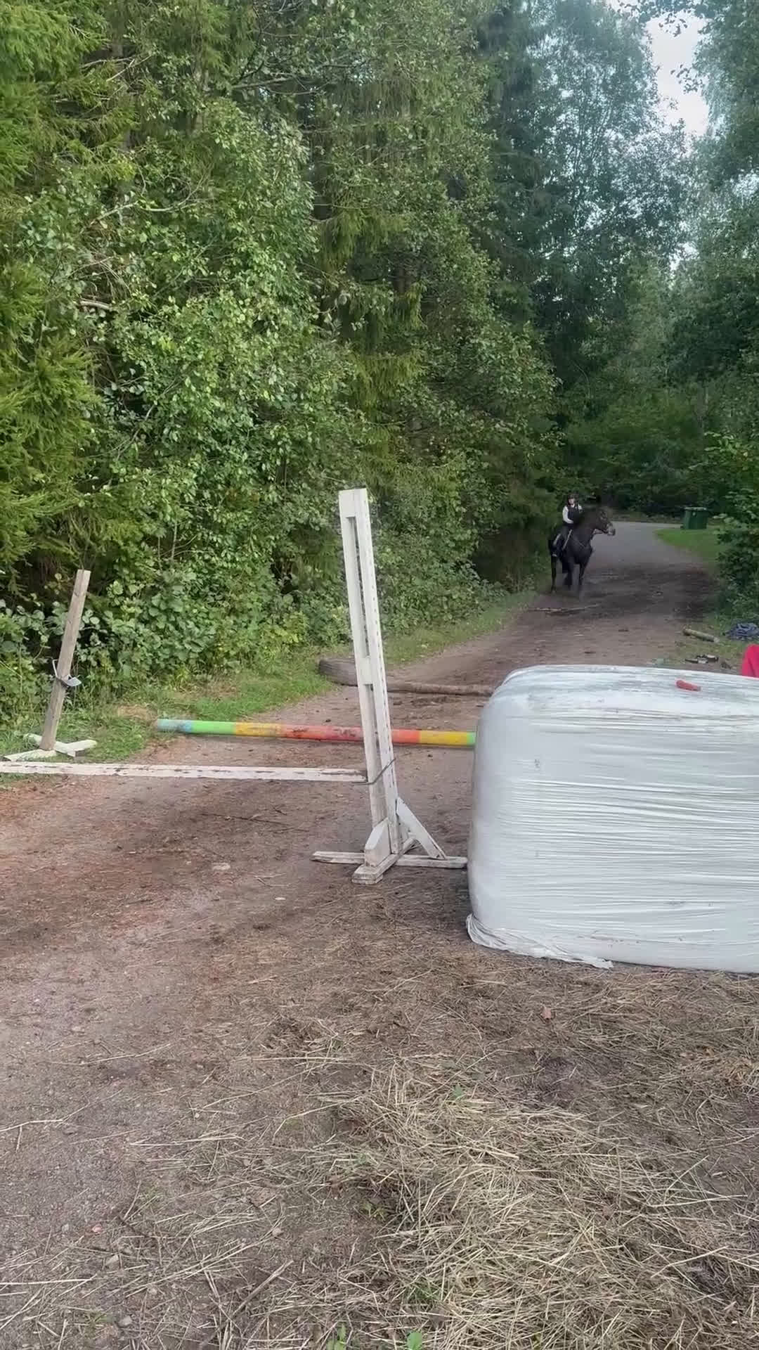 Allround hästar till salu: Intressekoll vackert sto i Ånimskog - Video 2