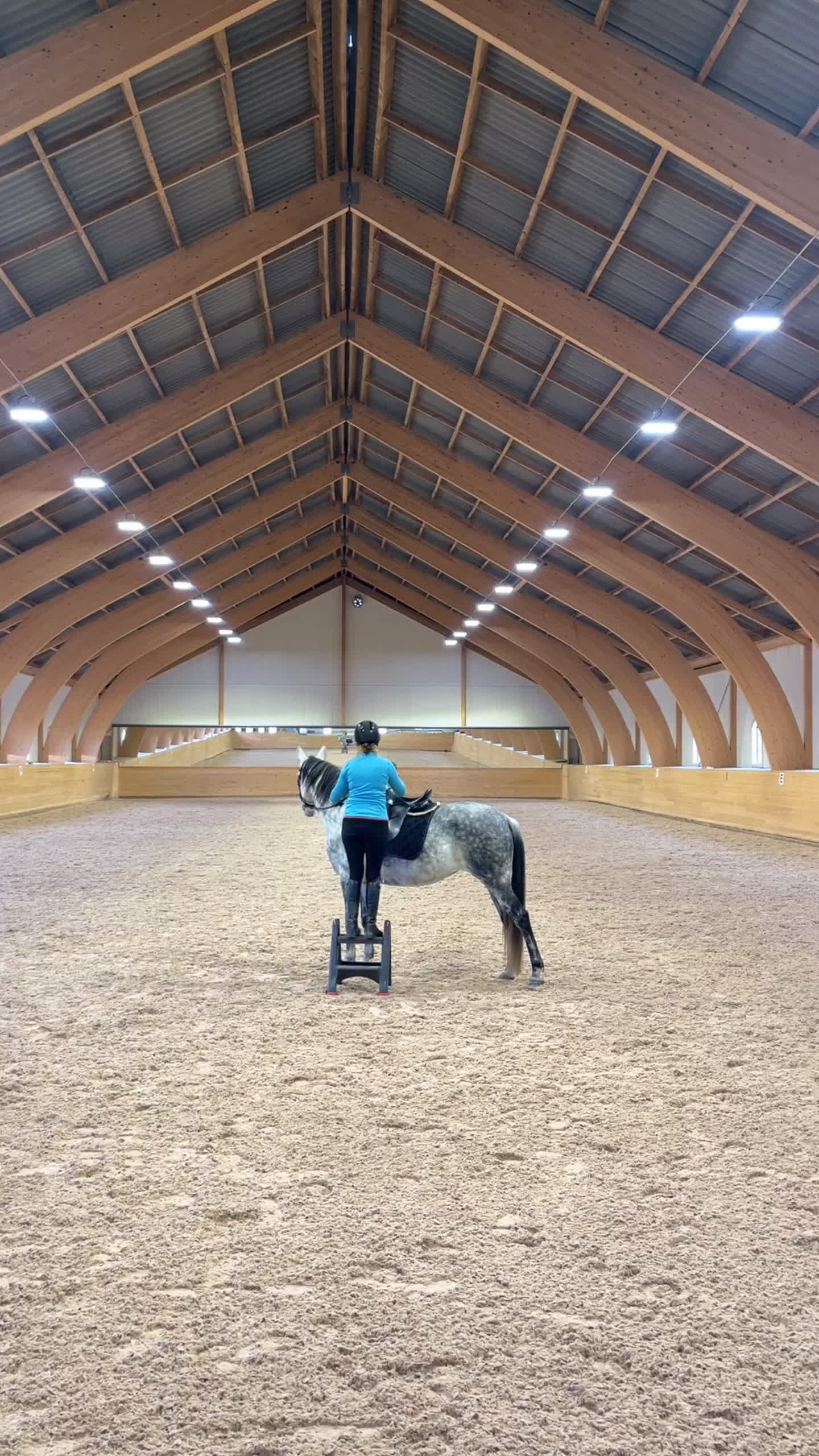 Dressyr hästar till salu: *nytt pris* väluppfostrat sto med energi i Nyköping - Video 4