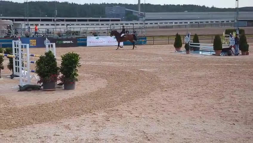 Hoppning hästar till salu: Hopphäst  i Landvetter - Video 2