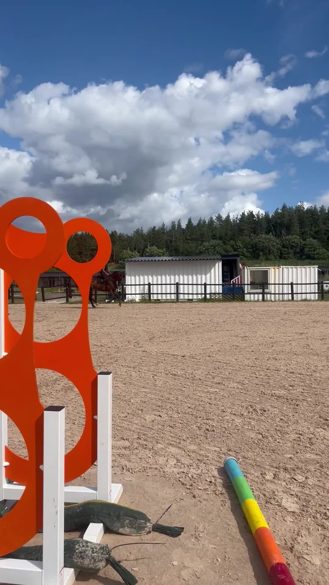 Hoppning hästar till salu: Allan söker sin bästa vän - Video 1