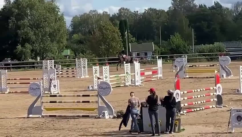 Hoppning hästar till salu: Supersnällt sto med mkt kapacitet i Lidköping - Video 3