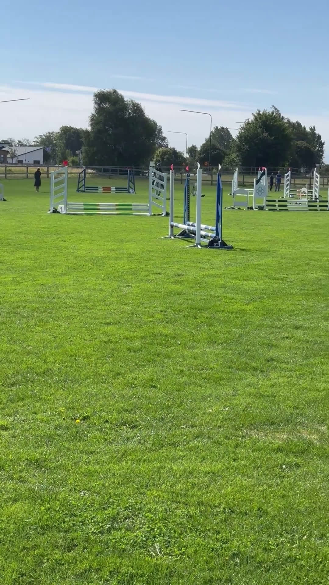 Allround hästar till salu: Prinsessa till salu i Vellinge - Video 1