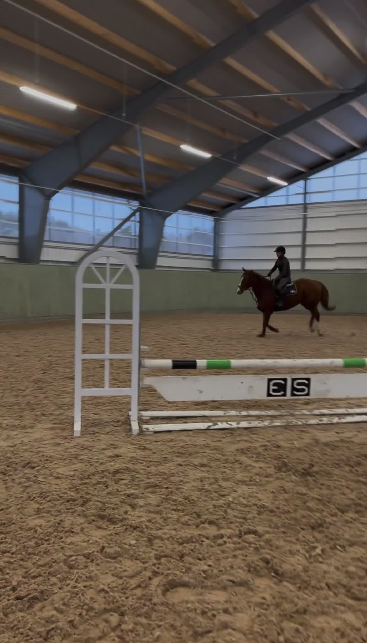 Allround hästar till salu: Trevlig och personlig valack - Video 2