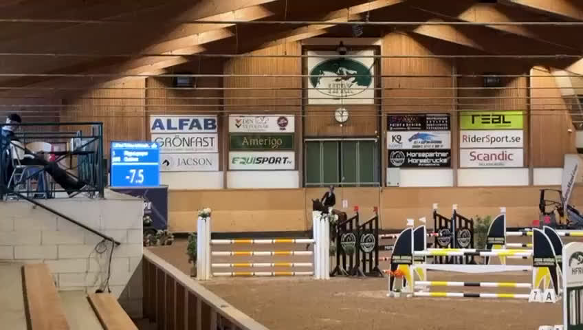 Hoppning hästar till salu: Ädel toppstammad 7-åring med kapacitet i Mörarp - Video 1