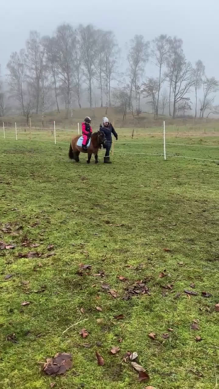 Övrigt hästar till salu: Genomsnäll barnponny - Video 2