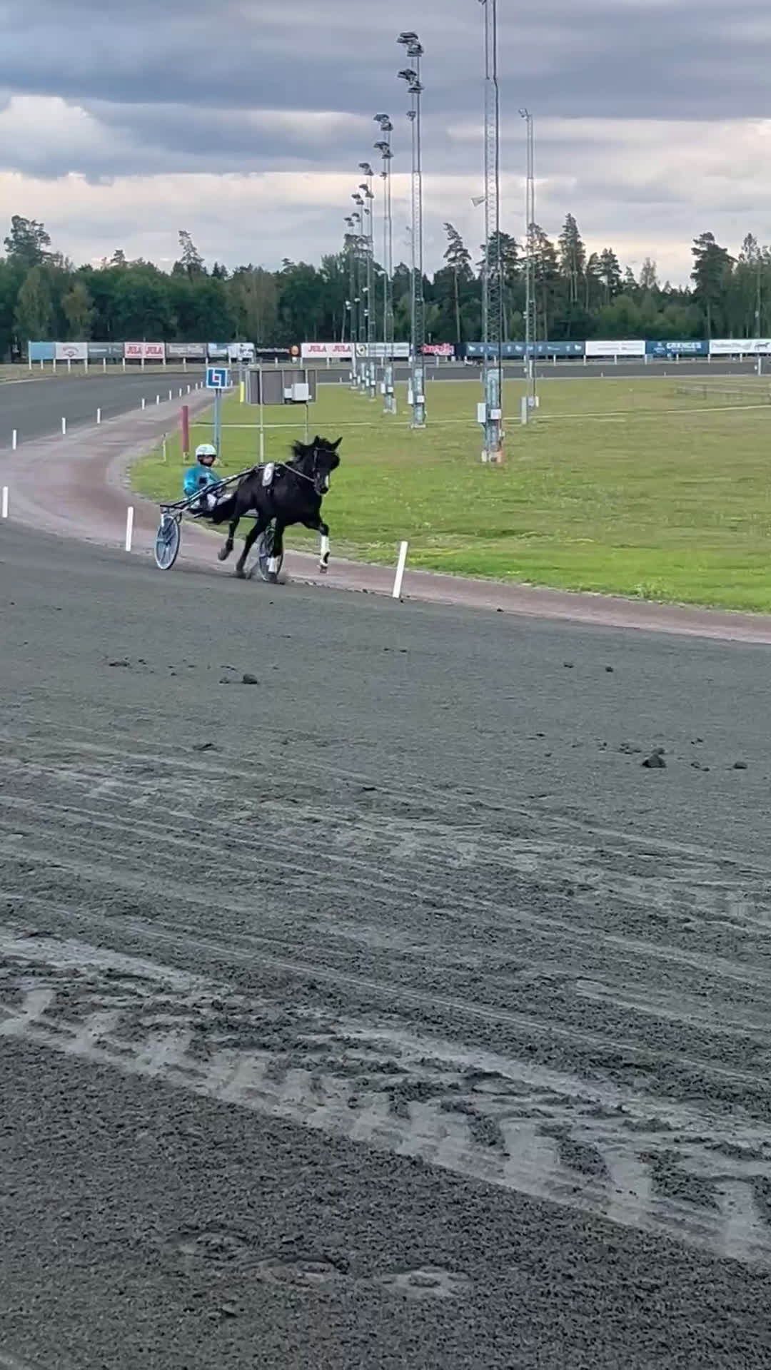 Allround hästar till salu: Projekthäst - Video 2