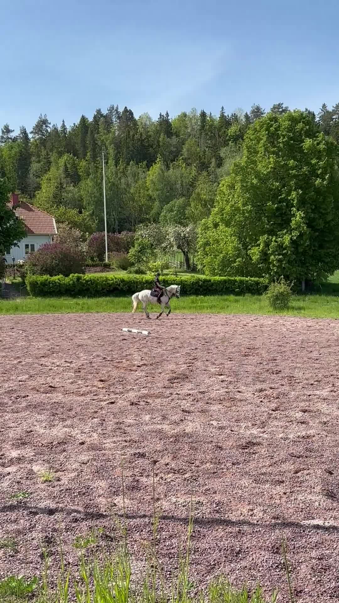 Övrigt hästar till salu: Snäll maxad c-ponny  - Video 1