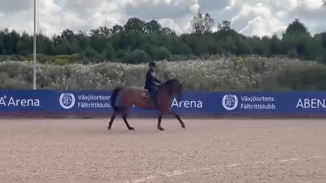 Hoppning hästar till salu: Sto e Baloubet du Rouet  i Ör - Video 2