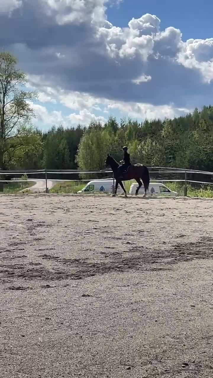 Allround hästar till salu: Dory Hall  i Bollstabruk - Video 2