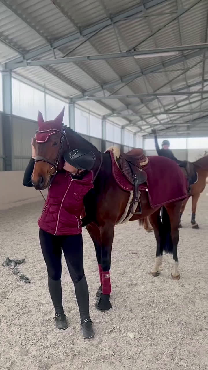 Hoppning hästar till salu: Professor horse! Jumping and dressage mare! i Ystad - Video 5