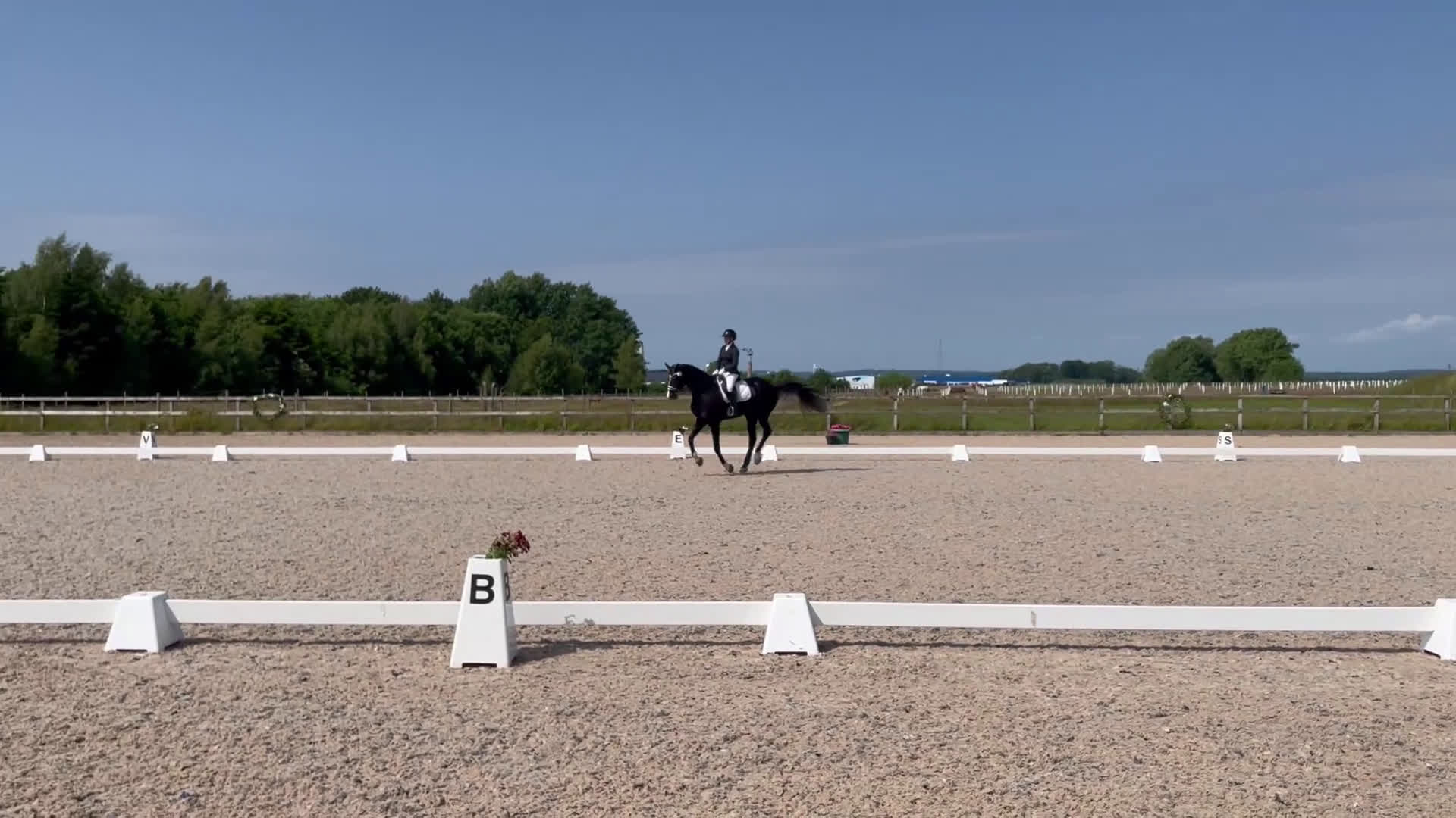 Allround hästar till salu: Läromästare i Växjö - Video 1