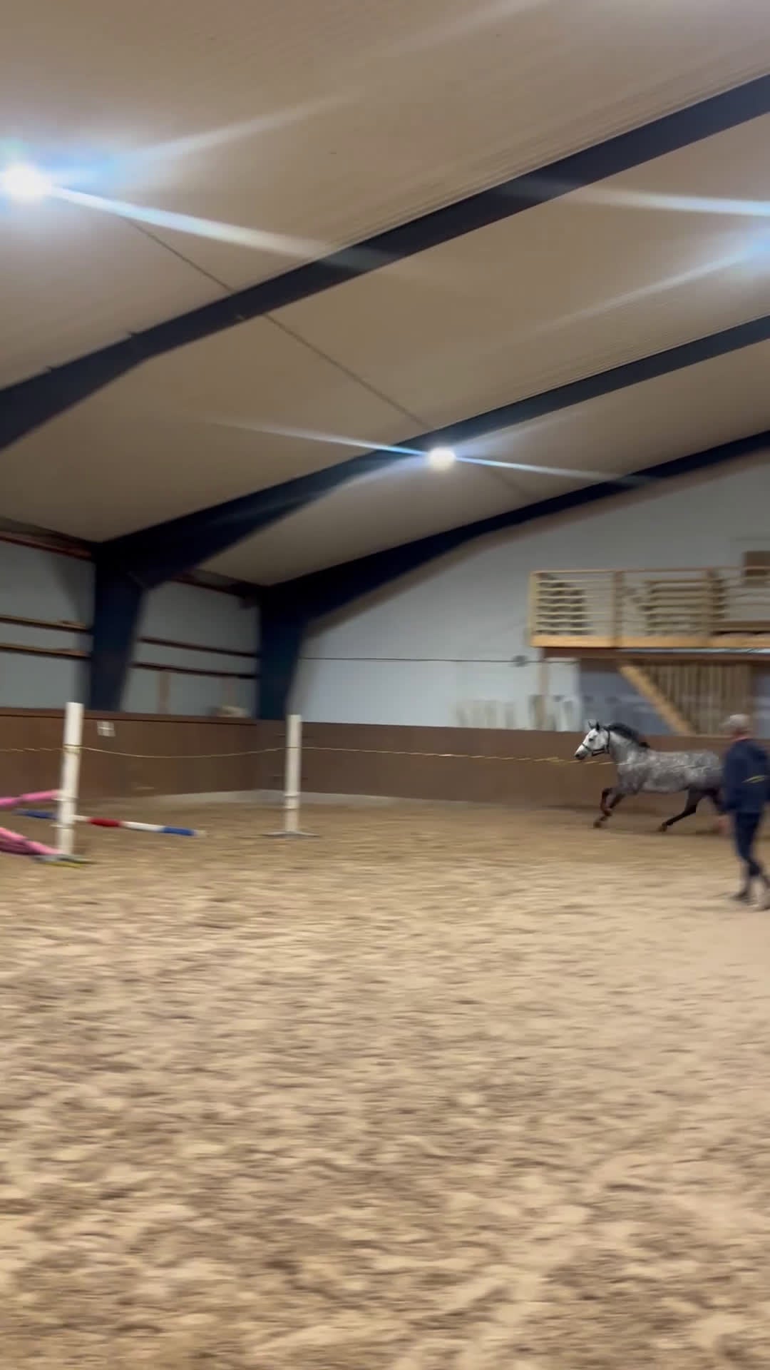 Hoppning hästar till salu: Maxad D ponny med hög kapacitet  - Video 2